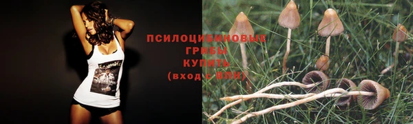 дурь Арсеньев