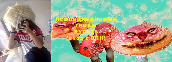 дурь Арсеньев