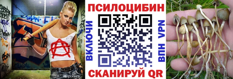 Псилоцибиновые грибы Psilocybe  Сальск 