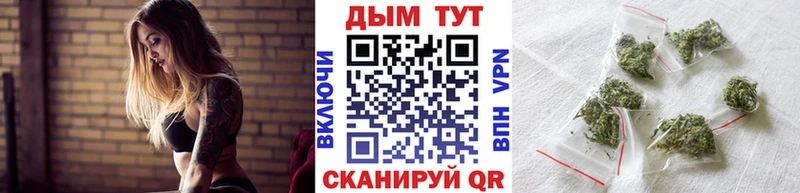купить наркотики цена  Сальск  Конопля MAZAR 
